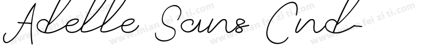 Adelle Sans Cnd字体转换